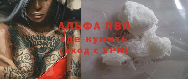 шишки Абаза