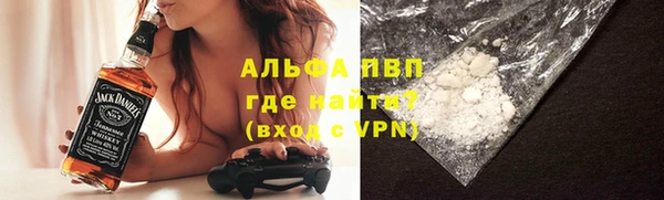 шишки Абаза