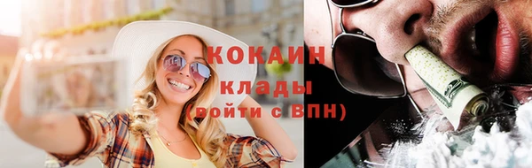 шишки Абаза