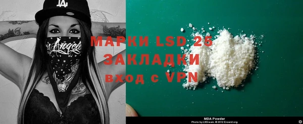 шишки Абаза