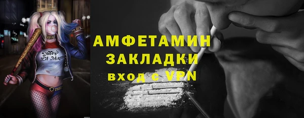 шишки Абаза
