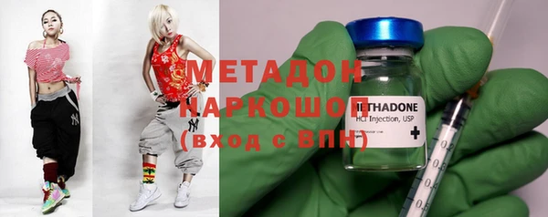 шишки Абаза
