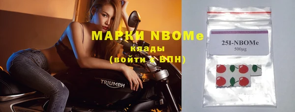 шишки Абаза