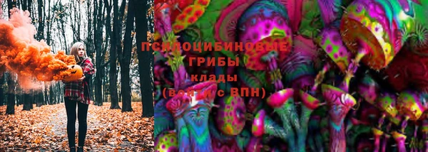 шишки Абаза