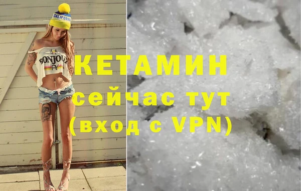шишки Абаза