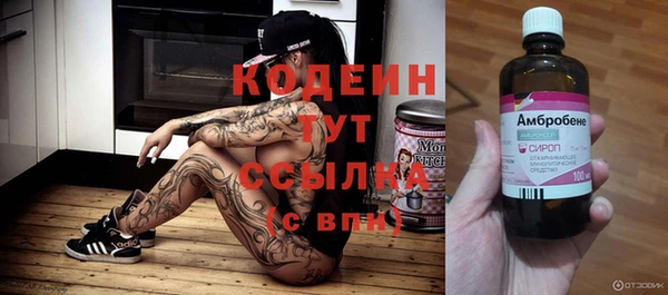 шишки Абаза