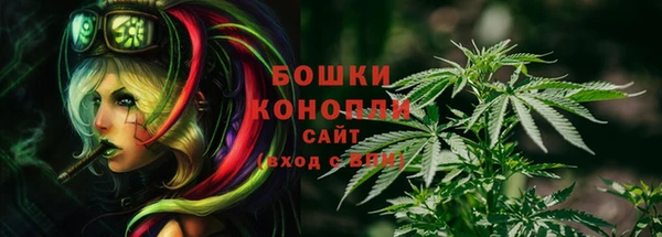 шишки Абаза