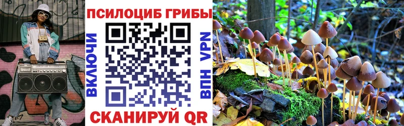 Псилоцибиновые грибы Magic Shrooms  где можно купить наркотик  Тотьма 